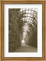 Hampton Court, UK Fine Art Print