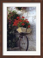 Flower Box Bike Fine Art Print