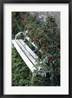 White Bench Fine Art Print