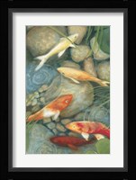 Reflecting Koi I Fine Art Print