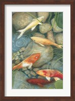 Reflecting Koi I Fine Art Print