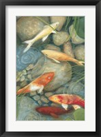 Reflecting Koi I Fine Art Print