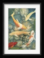 Reflecting Koi II Fine Art Print