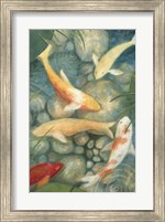 Reflecting Koi II Fine Art Print