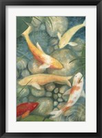 Reflecting Koi II Fine Art Print