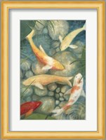 Reflecting Koi II Fine Art Print