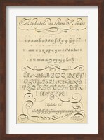 Alphabet Sampler I Fine Art Print