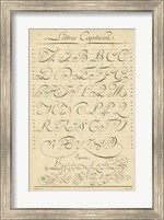 Alphabet Sampler IV Fine Art Print