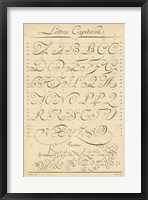 Alphabet Sampler IV Fine Art Print