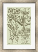 Garden of Flora III Fine Art Print