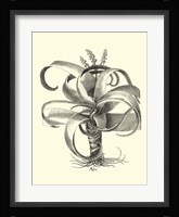 B&W Besler Aloe Fine Art Print