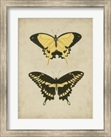 Antique Butterfly Pair I Fine Art Print