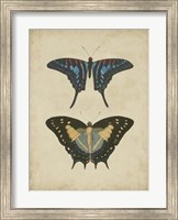 Antique Butterfly Pair III Fine Art Print