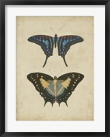 Antique Butterfly Pair III Fine Art Print