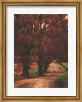 Dirt Road Fine Art Print