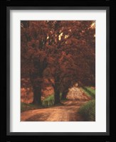 Dirt Road Fine Art Print