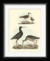 Sandpipers I Fine Art Print