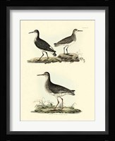 Sandpipers II Fine Art Print