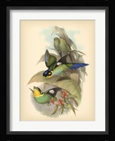 Birds of the Tropics I Fine Art Print