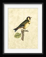 Birds I Fine Art Print