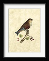 Birds III Fine Art Print
