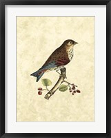 Birds III Fine Art Print