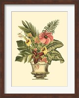 Tropical Elegance II Fine Art Print