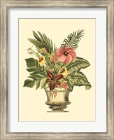 Tropical Elegance II Fine Art Print