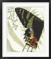 Butterfly Symmetry I Fine Art Print