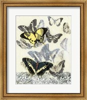 Butterfly Habitat I Fine Art Print