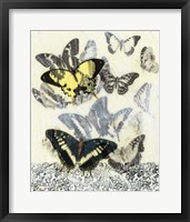 Butterfly Habitat I Framed Print