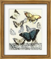 Butterfly Habitat II Fine Art Print