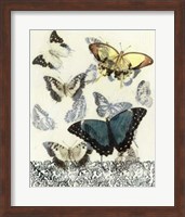 Butterfly Habitat II Fine Art Print
