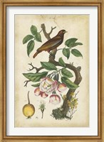 Antique Bird in Nature I Fine Art Print