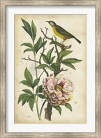 Antique Bird in Nature II Fine Art Print