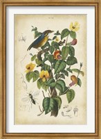 Antique Bird in Nature III Fine Art Print