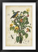 Antique Bird in Nature III Fine Art Print