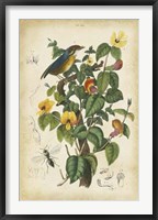 Antique Bird in Nature III Fine Art Print