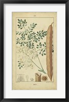 Vintage Turpin Botanical V Fine Art Print