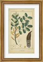Vintage Turpin Botanical VII Fine Art Print