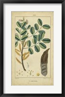 Vintage Turpin Botanical VII Fine Art Print