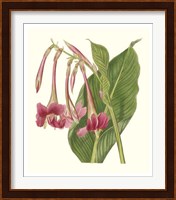 Tropical Indian Reed Fine Art Print