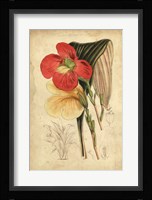 Tropical Blooms I Fine Art Print