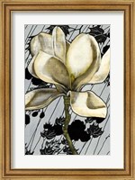 Patterned Magnolia I Fine Art Print