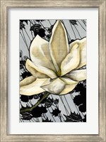 Patterned Magnolia II Fine Art Print