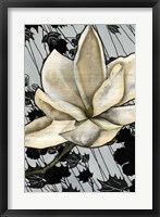Patterned Magnolia II Fine Art Print