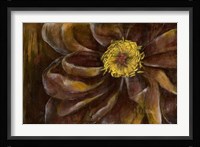 Floral Illusion II Framed Print