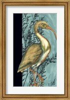 Heron in the Grass I Fine Art Print