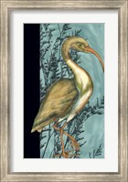 Heron in the Grass I Fine Art Print