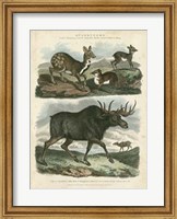Deer & Moose Fine Art Print